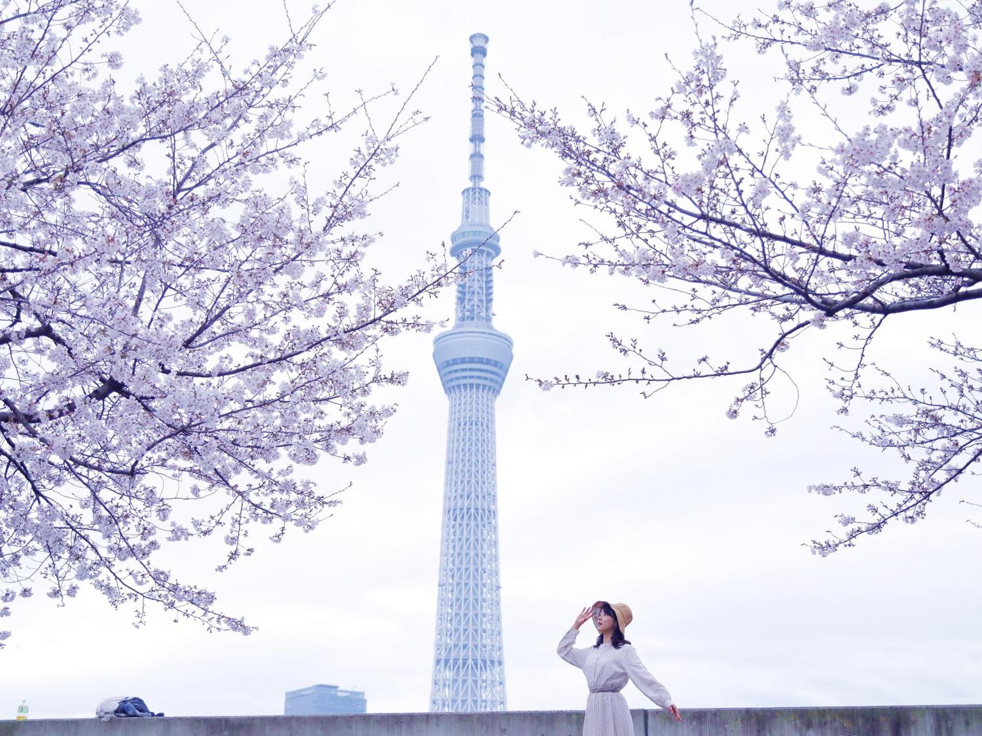 &Here Tokyo Ueno — Photos 2